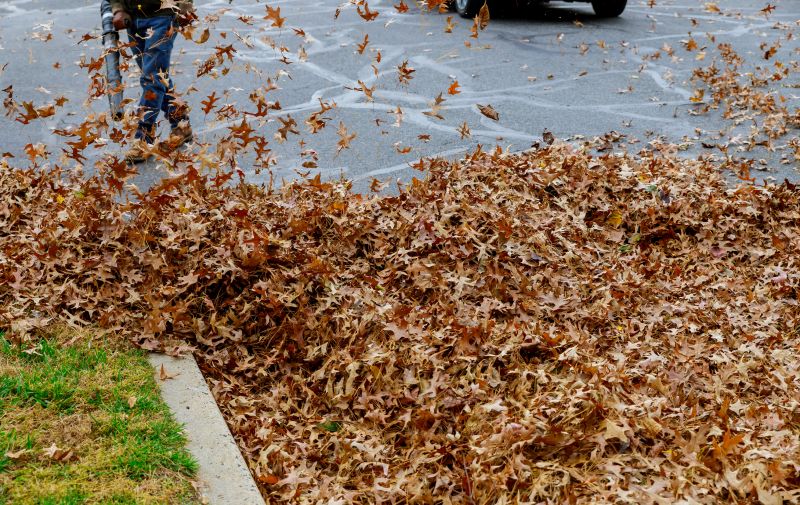 Fall Leaf Cleanup