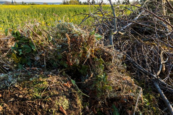 Brush Disposal in Downingtown