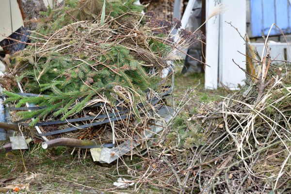 Yard Waste Removal Service in Downingtown