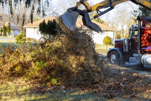 Storm Debris Removal in Downingtown