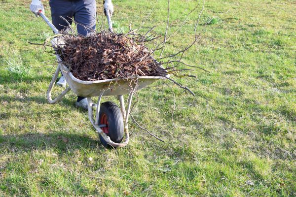 Yard Brush Removal in Downingtown