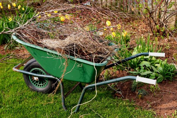 Lawn Waste Removal in Downingtown