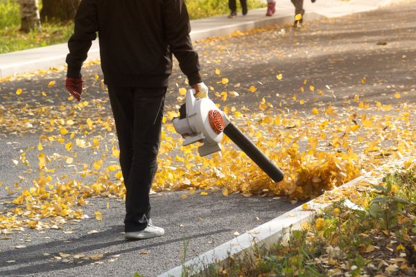 Commercial Leaf Removal in Downingtown